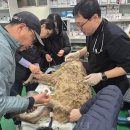 김종만농장 이미지