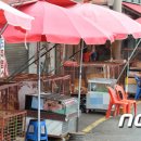 한산건강원 - 평택시 판교길 23 | 한산건강원