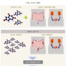 통풍진단비보장 특별약관(통풍의 정의 및 진단확정)[계약일부터 그날을 포함하여 90일이 지난날의 다음날] 이미지