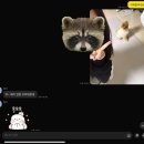 권만두 | 요란한우정