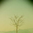 바람공원_R 이미지