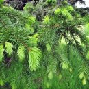 원목욕탕 이미지