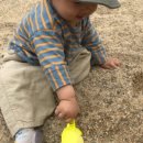 걸포 목장 이미지