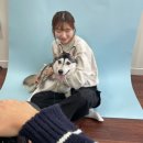 견생멍컷 이미지