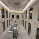 도그프렌즈 이미지