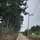 서해랑길 66코스 이미지