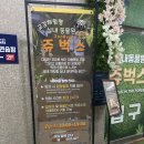 형제조류 | 인천실내동물원 아이와 함께 먹이주기체험 쥬벅스 이용후기