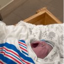 율산후조리원 이미지