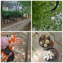 방촌공원 이미지