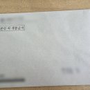 더마스트 | 히밥님도 했던 마스트 알러지 검사 후기 들려드릴게요