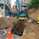 코아&2060 이미지