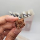 트리플이엑스 이미지