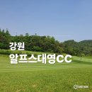 알프스대영컨트리클럽 | 횡성의 푸른 숨결을 느끼는 알프스대영CC, 골퍼들이 선호하는 코스 전략은?