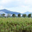 강변공원주차장 이미지