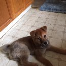 흥성농장 이미지