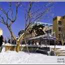 영해중학교 이미지