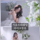 스튜라이크 | 라이크필름 프리웨딩 DVD 영상수령후기 라크마스튜디오, 추가금 없는 식전영상 추천