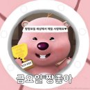 유하컴퍼니 | [유하 일상] 2024년 6월 (3) | 일상 블로그