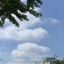 새하늘치과의원 이미지