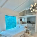 댕댕포레스트 이미지