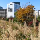 남산공원 이미지