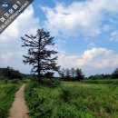 가창 누리길 | [최정산 힐링숲/억새군락지] 조용히 다녀올 수 있는 산책코스/주차정보/가을에 추천합니다.
