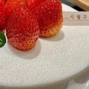 시월구일
