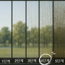 봄이랑 | 중랑구 망우동 신내동 아파트 유리창 청소 후기 (봄맞이 창문 창틀 세척)