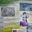 그린포차