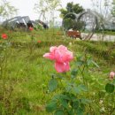 여울목수변공원 이미지