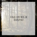 자동차하우스 이미지