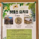 자연 속 힐링, 국립양평치유의숲에서 나를 찾다