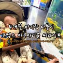 김도준 | 코엑스 아쿠아리움 4개월 아기랑 갈만한 실내 나들이 씨라이프
