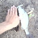 남양산역 뒤 이미지