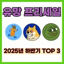 노드정보기술 (주) | 2025년 하반기 신규 유망 프리세일 코인 TOP3(맥시도지, 비트코인하이퍼, 페페노드)