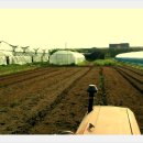 오산6-4 농로 이미지