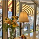 오로라케익하우스 이미지