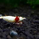 소마농장 이미지