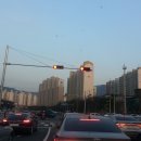 김내용농장 이미지