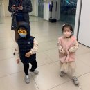 오감만족동태찌개 이미지