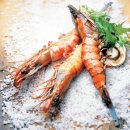 대하프라자 이미지