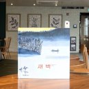 물결그림 | [신간] 아베 히로시 새벽 그림책 후기｜아사히야마 동물원 사육사 작가의 감성 힐링 그림책