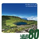 고찌글라 이미지