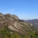 자작바위 이미지