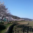 회천면사무소 이미지