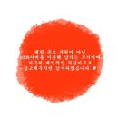 덕포로313 | 주례점 다이소 새로 오픈 방문 후기~