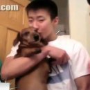 피트리