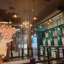 그로우펫 이미지