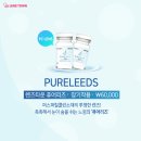 렌즈천사 이미지