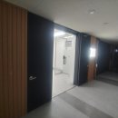 세움행정사사무소 이미지